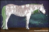 Horse Color:Watercolor White Spotted Buckskin Ice Onyx Splash 