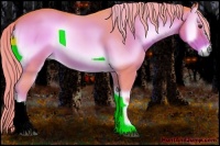 Horse Color:Watercolor Red Onyx 