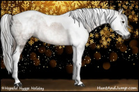 Horse Color:Gray Bay Ice Tobiano Rabicano