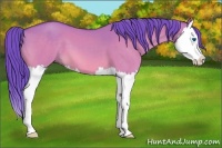 Horse Color:Watercolor Buckskin Dun Splash