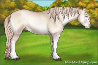 Horse Color:Palomino Pearl Onyx Sabino 