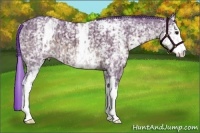 Horse Color:Watercolor White Spotted Brown Ice Dun 