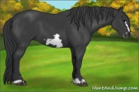 Horse Color:Black Frame 