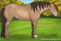 Horse Color:Sable Champagne