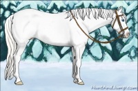 Horse Color:Silver Amber Champagne Pearl Dun Splash Tobiano Appaloosa