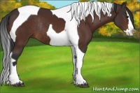 Horse Color:Brown Splash Tobiano Rabicano
