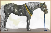 Horse Color:White Spotted Silver Black Chinchilla Sabino