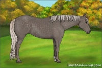 Horse Color:Silver Black 
