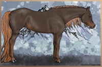 Horse Color:Liver Chestnut Rabicano 