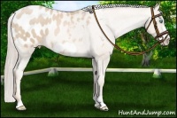 Horse Color:Palomino Pearl Frame Blanket 