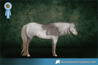Horse Color:Liver Red Roan Rabicano 