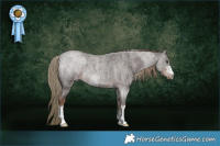 Horse Color:Liver Red Roan Rabicano 