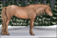 Horse Color:Liver Chestnut Pearl Rabicano 