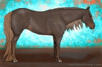 Horse Color:Liver Red Roan Rabicano 