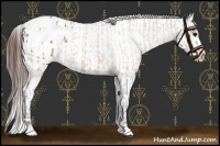 Horse Color:Brown Roan Blanket  and Brown Roan Blanket 