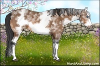 Horse Color:White Spotted Buckskin Splash Frame 