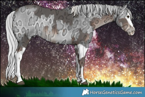 Horse Color:Liver Chestnut Ice Mushroom Rabicano  and Silver Blue Onyx Chinchilla Ice Splash 