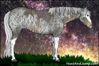 Horse Color:Liver Chestnut Ice Rabicano  and Silver Blue Onyx Chinchilla Ice Splash 