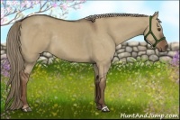 Horse Color:Liver Red Dun Rabicano