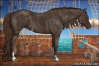 Horse Color:Liver Chestnut Sabino