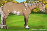 Horse Color:Silver Bay Dun Frame 