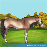 Horse Color:Brown Ice Onyx 