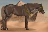 Horse Color:Liver Chestnut Rabicano 