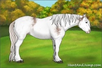 Horse Color:White Spotted Silver Bay Splash