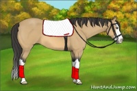 Horse Color:Buckskin Roan Splash 