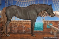 Horse Color:Liver Chestnut Rabicano