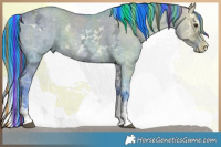 Horse Color:Painted Watercolor White Spotted Liver Red Dun Ice Splash 