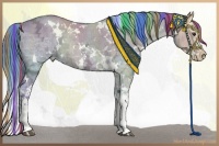 Horse Color:Painted Watercolor White Spotted Liver Red Dun Ice Splash