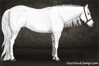 Horse Color:Liver Chestnut Chinchilla Rabicano