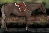 Horse Color:Liver Chestnut Rabicano 