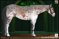 Horse Color:White Spotted Bay Ice