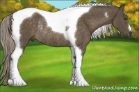 Horse Color:Chocolate Palomino Tobiano Rabicano