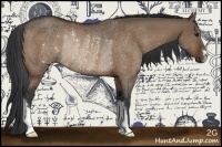 Horse Color:Bay Dun Rabicano 