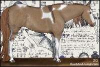 Horse Color:White Spotted Liver Red Dun Tobiano Rabicano 