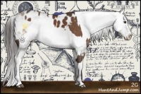 Horse Color:Liver Chestnut Sabino Appaloosa  and White Spotted Liver Red Dun Sabino Appaloosa Rabicano 