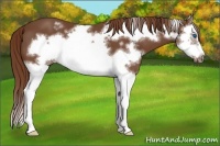Horse Color:Chestnut Splash Frame 