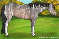 Horse Color:Brown Ice