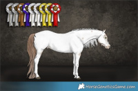 Horse Color:Brown Pearl Dun Tobiano Frame Appaloosa