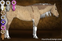 Horse Color:Silver Buckskin Dun Tobiano