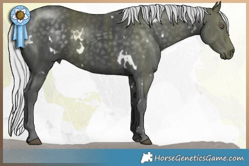 Horse Color:White Spotted Silver Black Chinchilla 