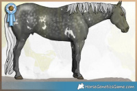 Horse Color:White Spotted Silver Black Chinchilla 