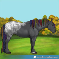 Horse Color:Painted Black Ice 