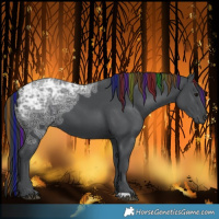Horse Color:Painted Black Ice