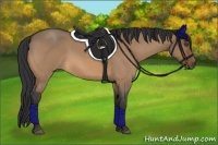 Horse Color:Bay Roan Dun