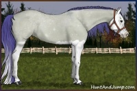 Horse Color:Watercolor Bay Dun Splash 
