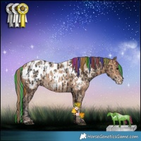 Horse Color:Painted Brown Near Leopard and Amber Champagne Blanket